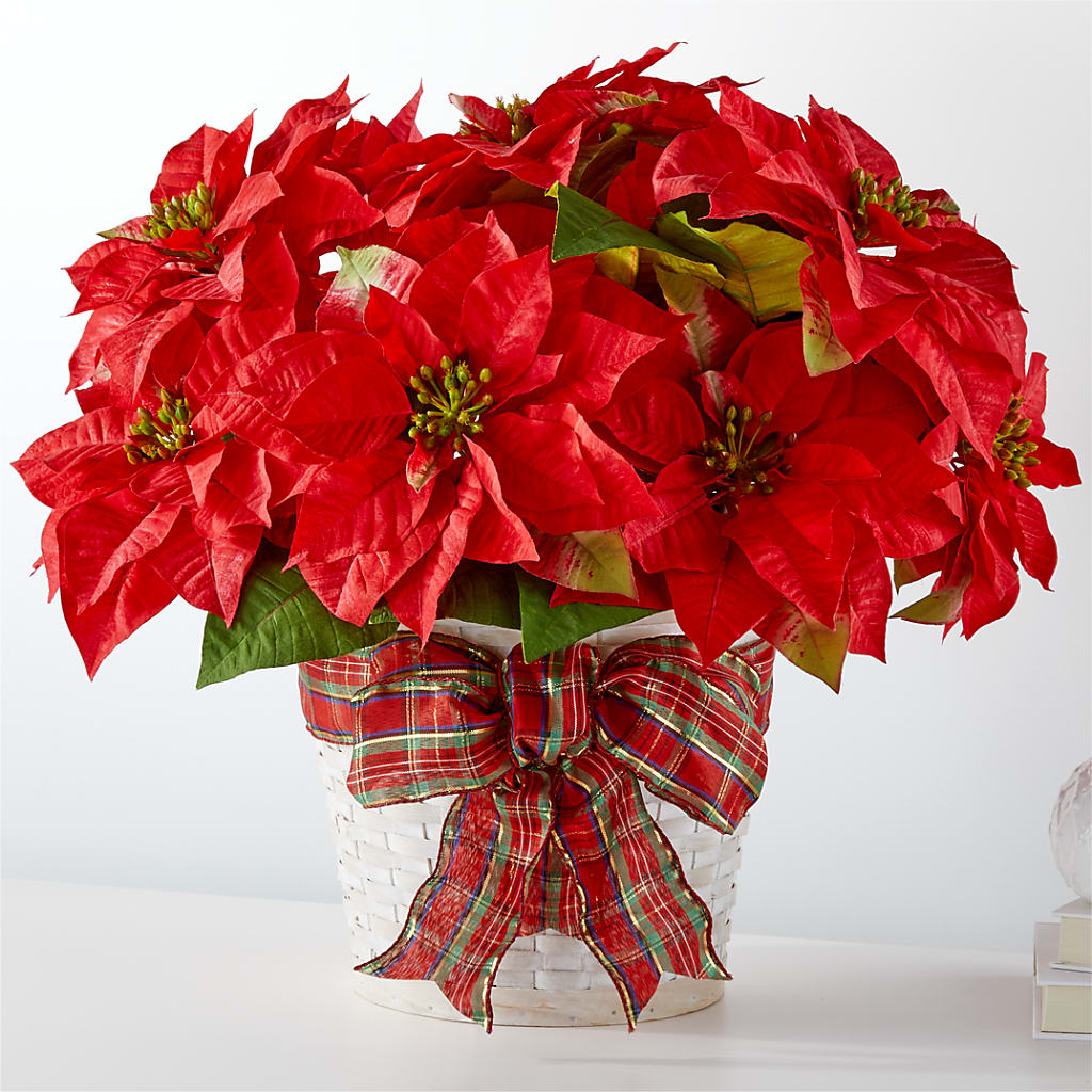 Happiest Holidays Poinsettia – Rustic Daisy Floral, Pahrump NV