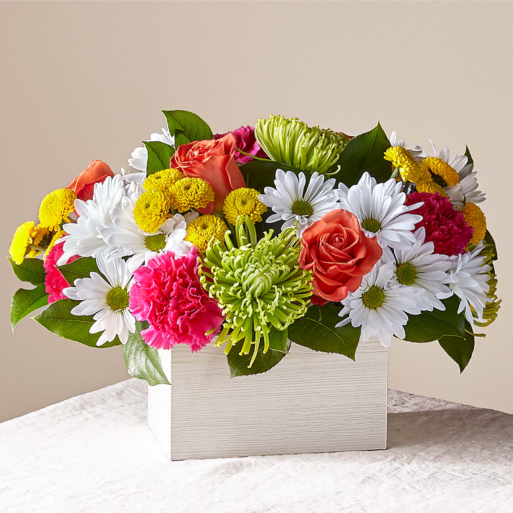 Sorbet Bouquet – Rustic Daisy Floral, Pahrump NV