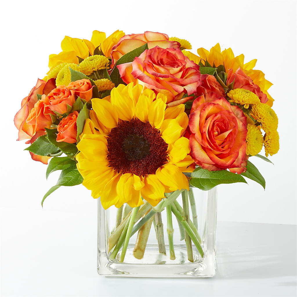 Picnic in the Park Bouquet – Rustic Daisy Floral, Pahrump NV