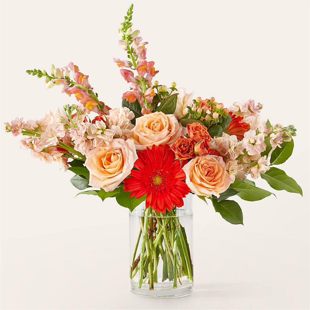 Paloma Please Bouquet – Rustic Daisy Floral, Pahrump NV