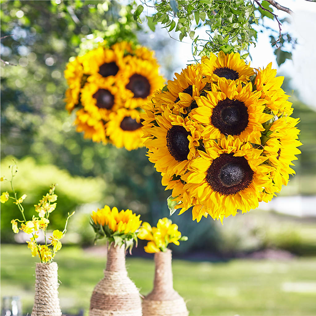 Sublime Garden Hanging Arrangement – Rustic Daisy Floral, Pahrump NV