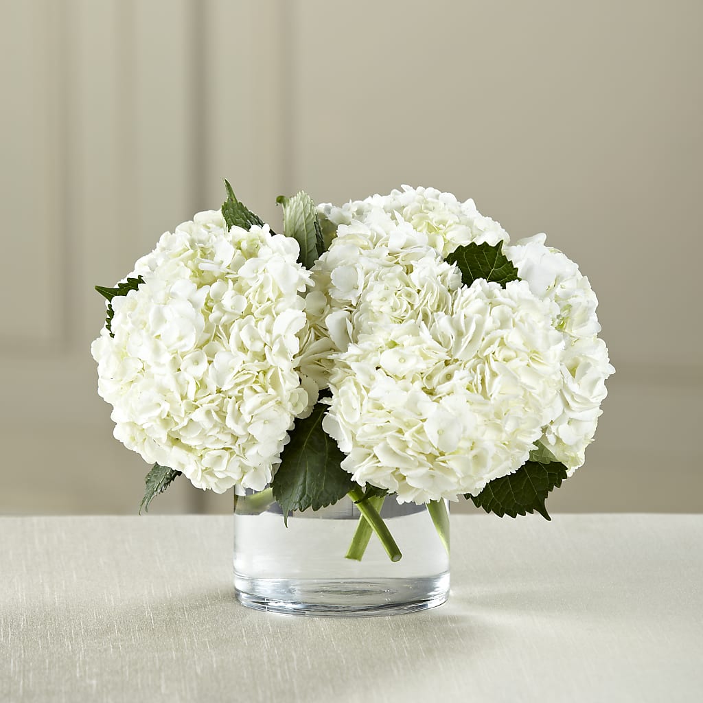 White Hydrangea Bouquet – Rustic Daisy Floral, Pahrump NV