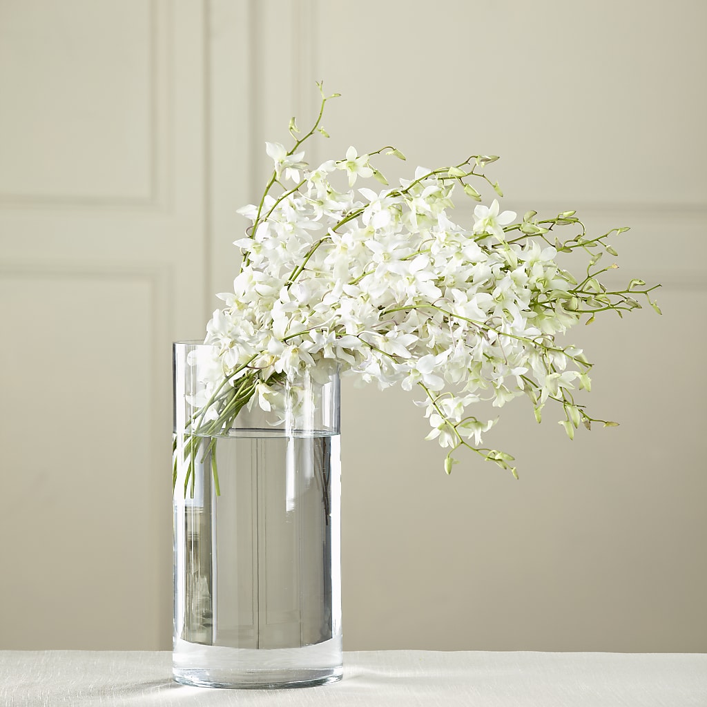 White Dendrobium Bouquet – Rustic Daisy Floral, Pahrump NV