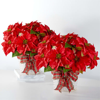 Happiest Holidays Poinsettia Bundle –  Rustic Daisy Floral, Pahrump NV