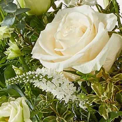 Cashmere Bouquet –  Rustic Daisy Floral, Pahrump NV