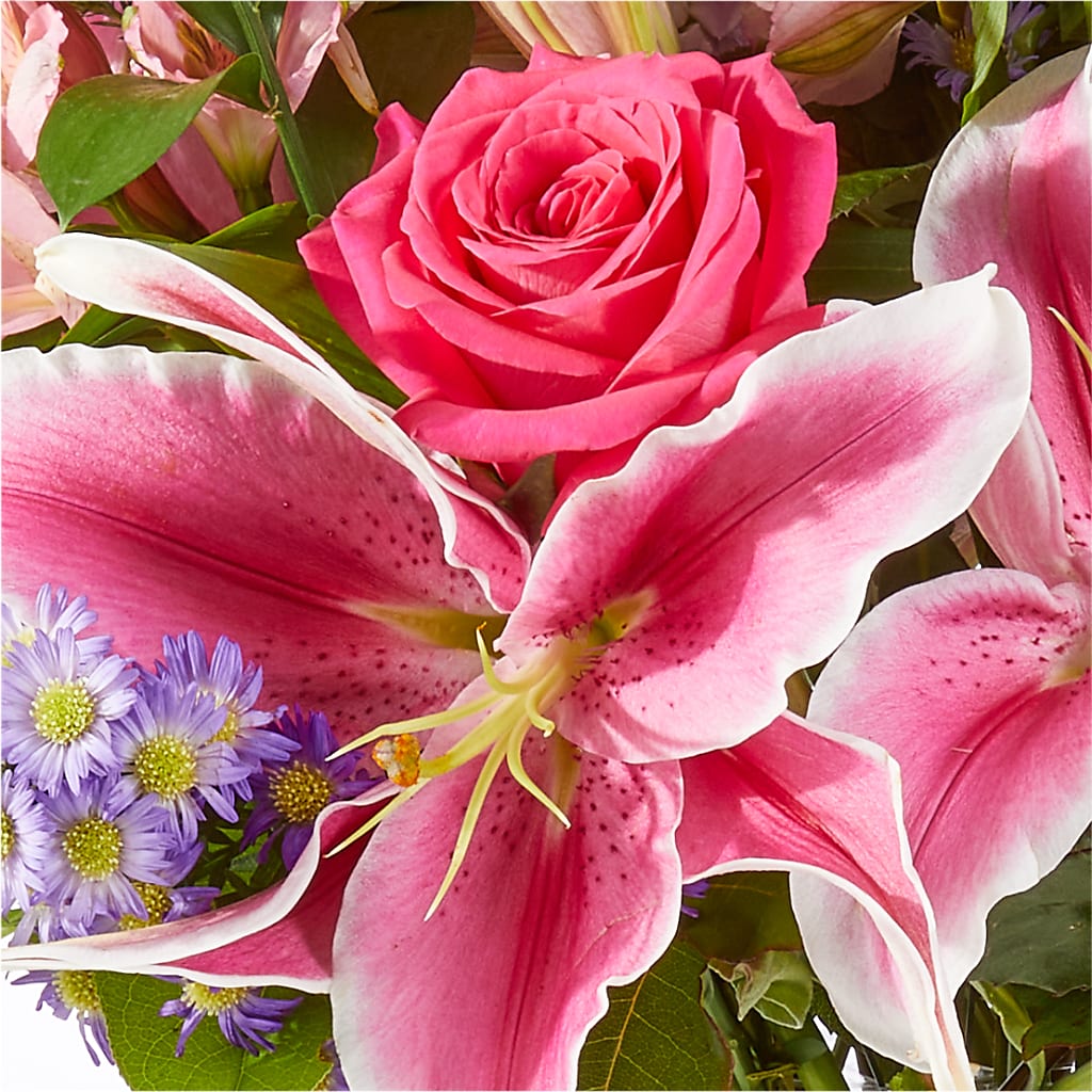 Written in the Stars Bouquet –  Rustic Daisy Floral, Pahrump NV
