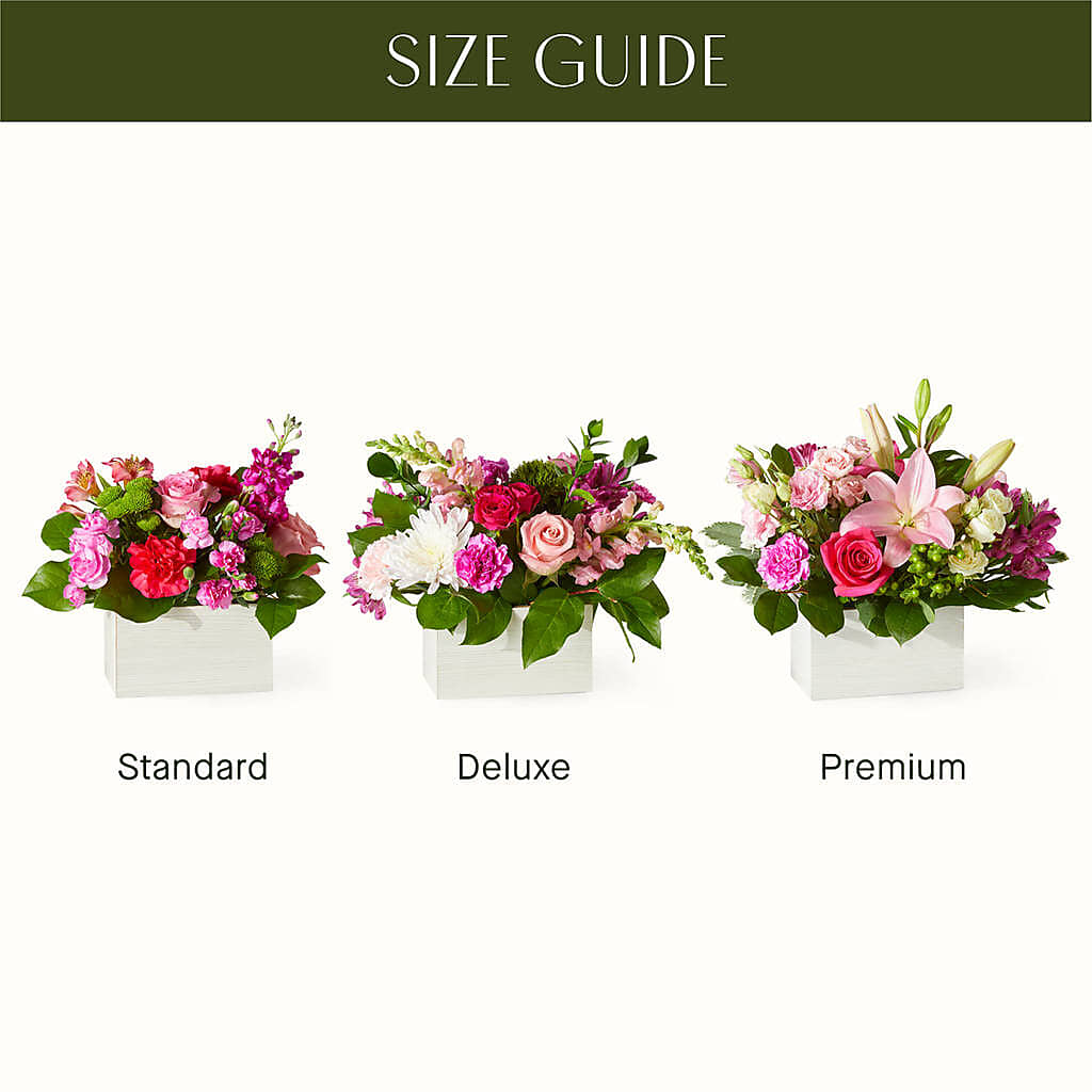 Sweetberry Box – A Florist Original –  Rustic Daisy Floral, Pahrump NV