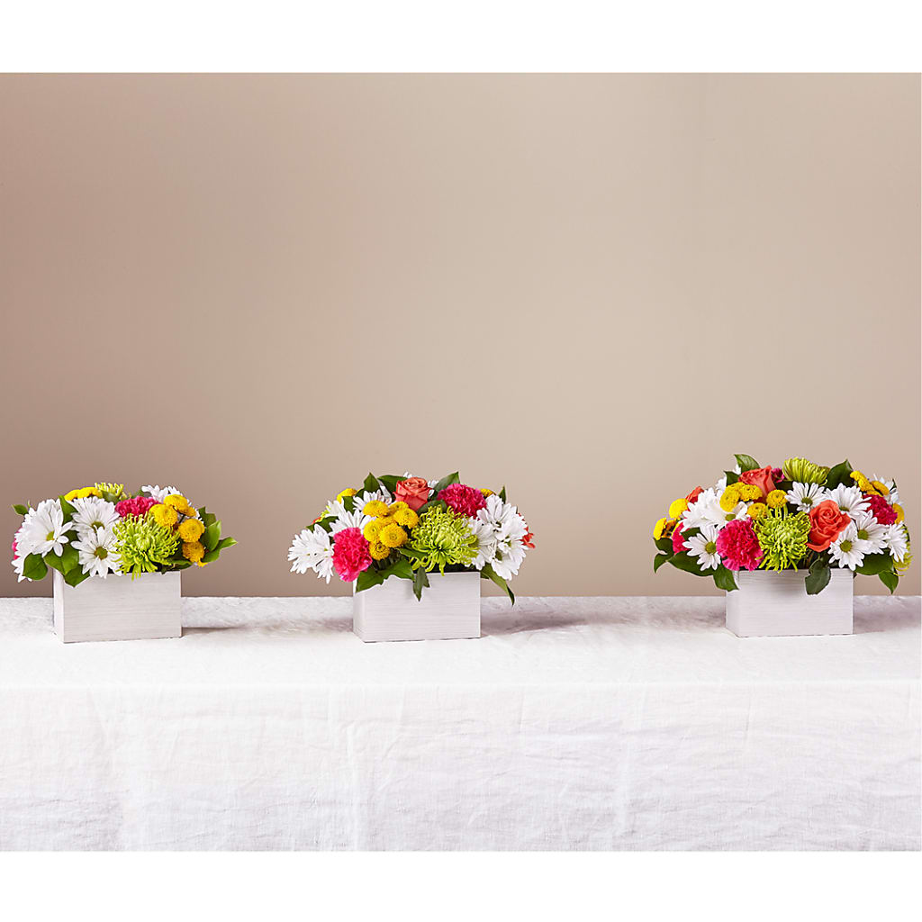 Sorbet Bouquet –  Rustic Daisy Floral, Pahrump NV