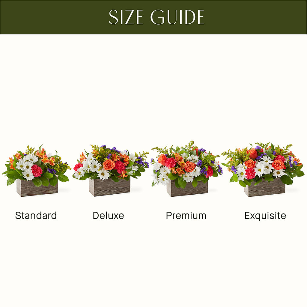 Oopsie Daisy Box Bouquet –  Rustic Daisy Floral, Pahrump NV