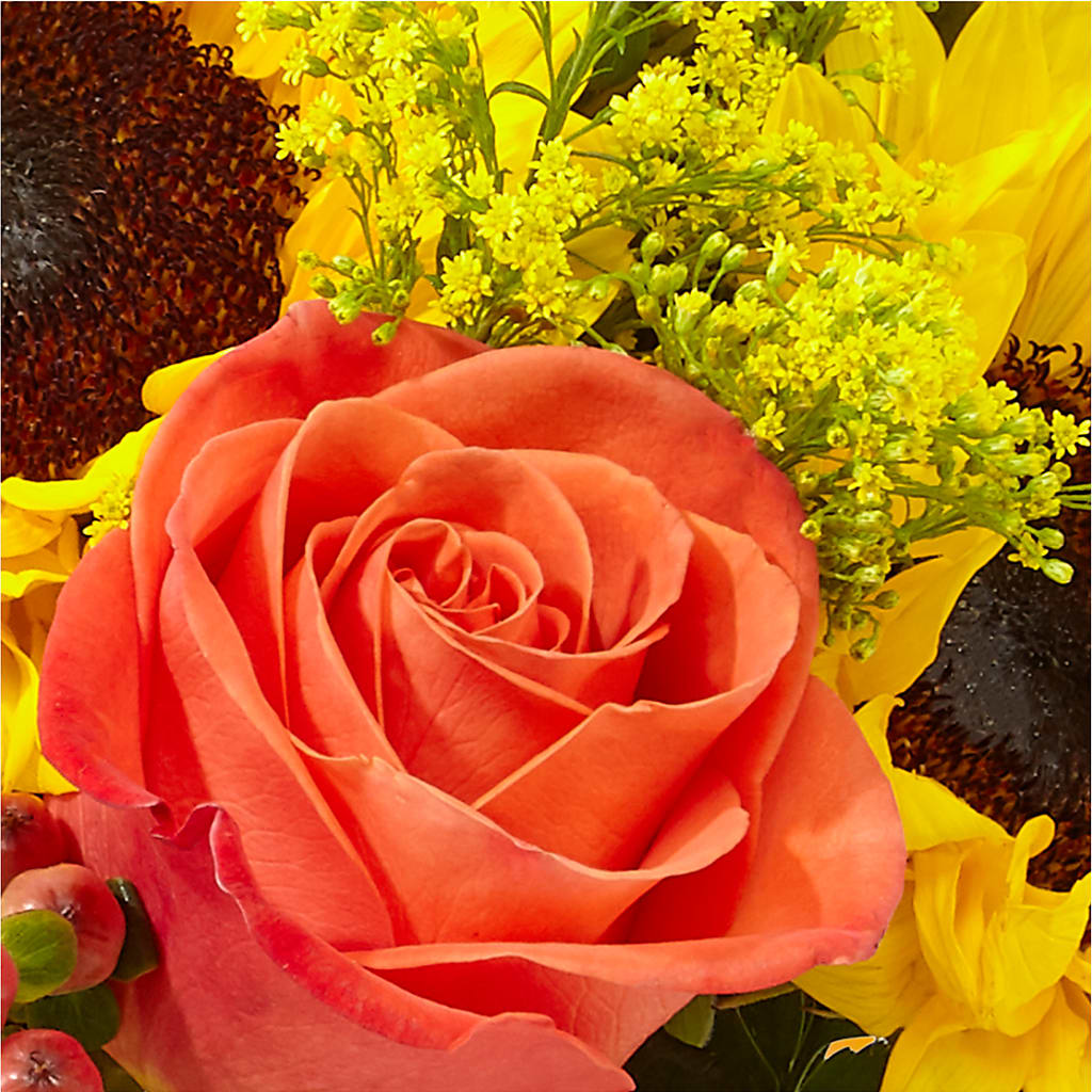 Pick of the Patch Pumpkin Bouquet –  Rustic Daisy Floral, Pahrump NV