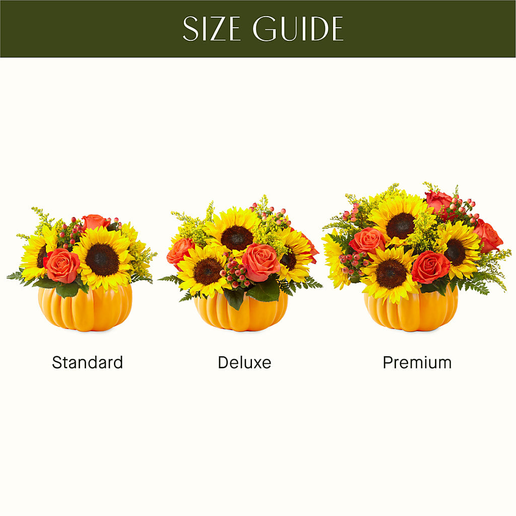 Pick of the Patch Pumpkin Bouquet –  Rustic Daisy Floral, Pahrump NV