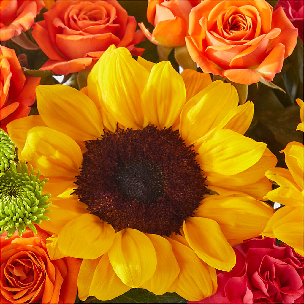 Sun-drenched Blooms Box Bouquet –  Rustic Daisy Floral, Pahrump NV