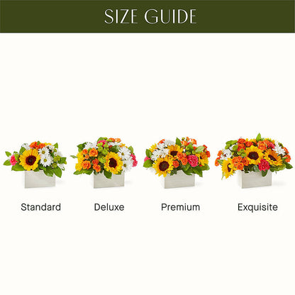 Sun-drenched Blooms Box Bouquet –  Rustic Daisy Floral, Pahrump NV