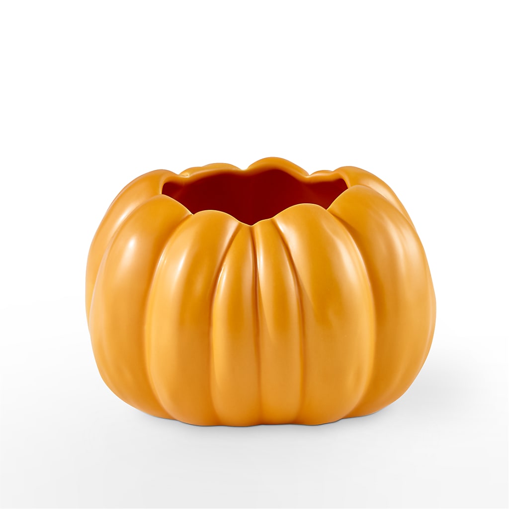 Pick of the Patch Pumpkin Bouquet –  Rustic Daisy Floral, Pahrump NV