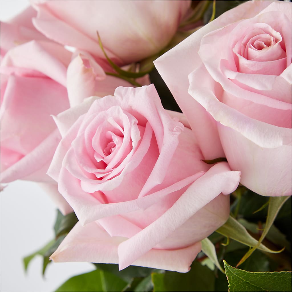 Picture Perfect Pink Rose Bouquet –  Rustic Daisy Floral, Pahrump NV