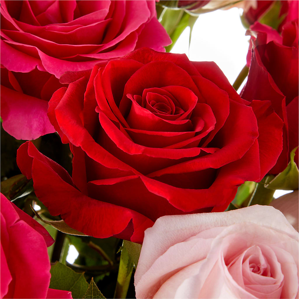 Love Notes Rose Bouquet –  Rustic Daisy Floral, Pahrump NV
