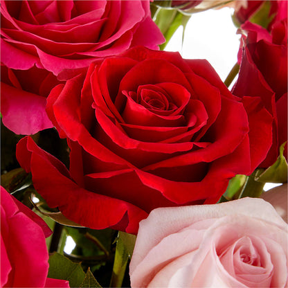 Love Notes Rose Bouquet –  Rustic Daisy Floral, Pahrump NV