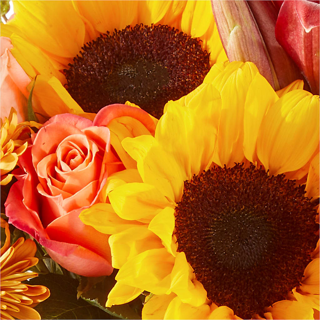 Acorn Lane Bouquet –  Rustic Daisy Floral, Pahrump NV