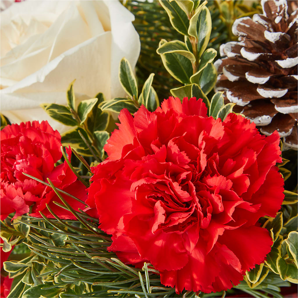 Christmas Market Bouquet –  Rustic Daisy Floral, Pahrump NV