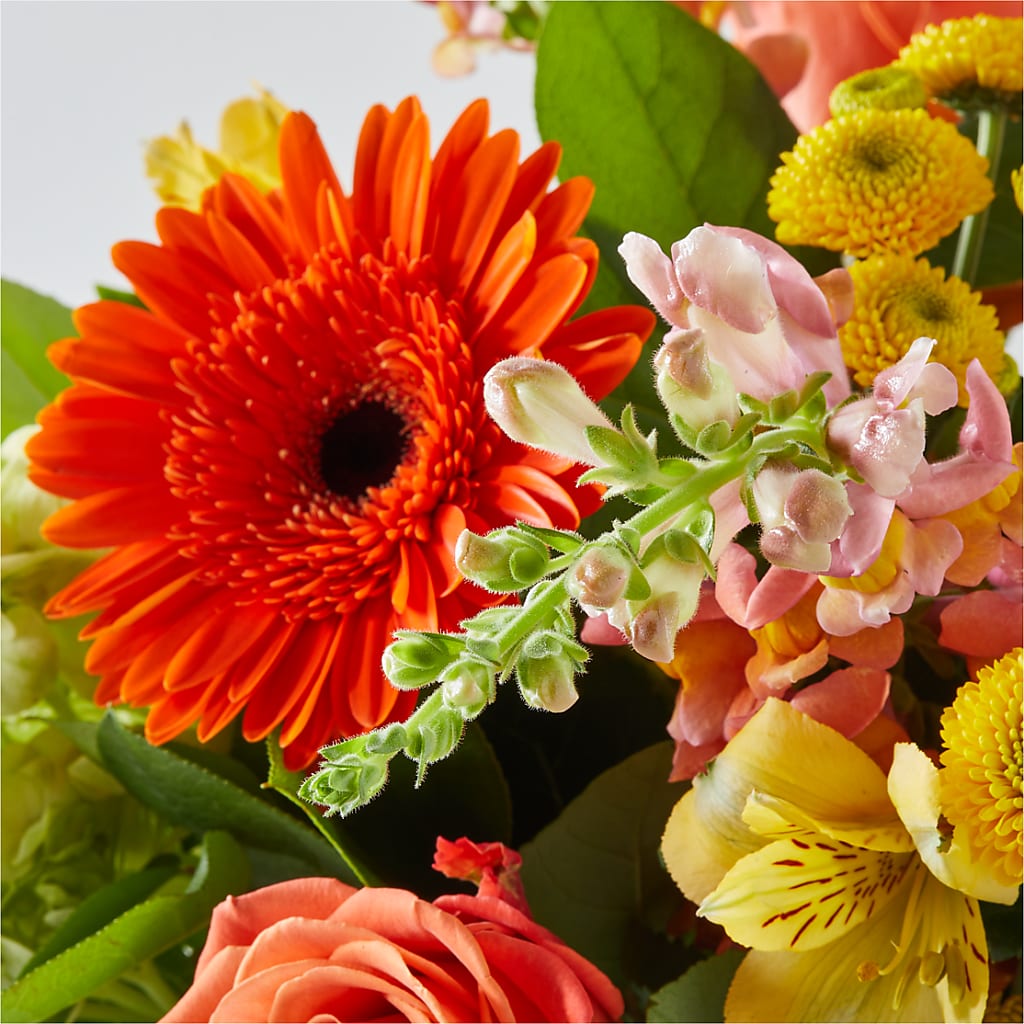 Autumn Sunshine Bouquet –  Rustic Daisy Floral, Pahrump NV