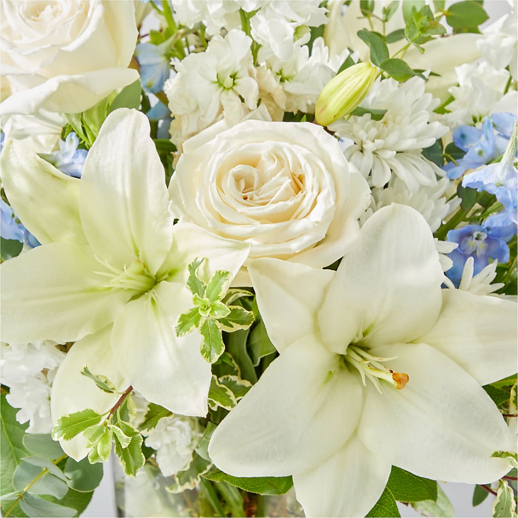 Peace of Mind Bouquet –  Rustic Daisy Floral, Pahrump NV