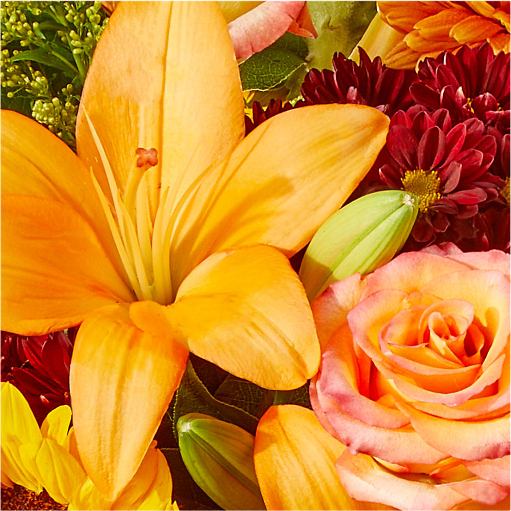 Seasons Change Bouquet –  Rustic Daisy Floral, Pahrump NV