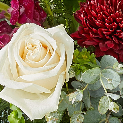 Cranberry Fizz Bouquet –  Rustic Daisy Floral, Pahrump NV