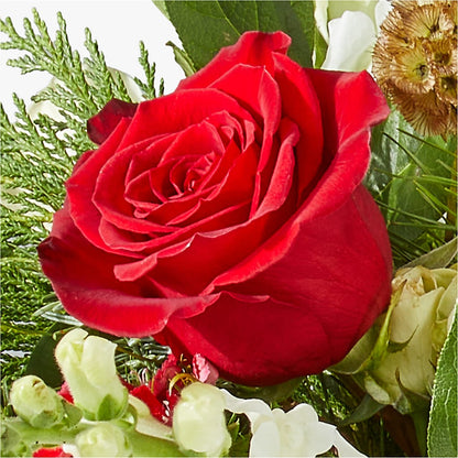 Deck the Halls Bouquet –  Rustic Daisy Floral, Pahrump NV