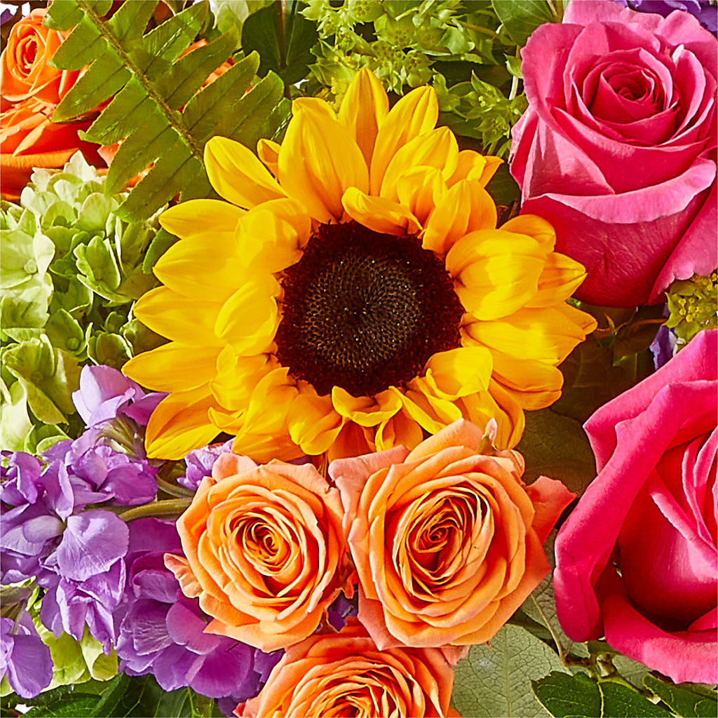 Vibrant Greetings Bouquet –  Rustic Daisy Floral, Pahrump NV