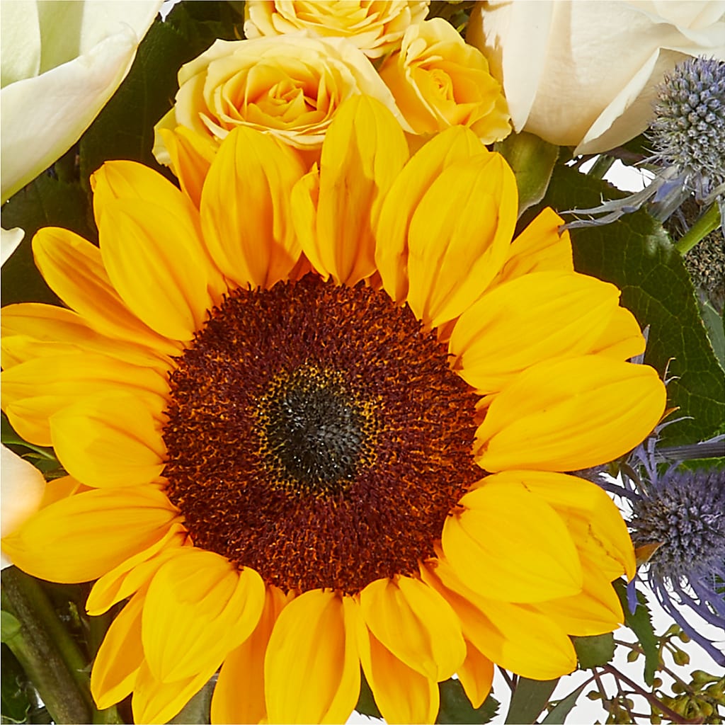 Wonderfully Sunny Bouquet –  Rustic Daisy Floral, Pahrump NV