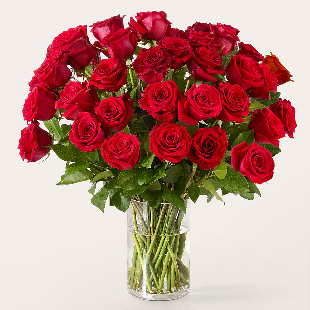 The One Red Rose Bouquet –  Rustic Daisy Floral, Pahrump NV