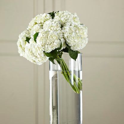 White Hydrangea Hand-Tied Bouquet –  Rustic Daisy Floral, Pahrump NV