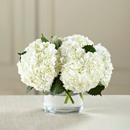 White Hydrangea Bouquet –  Rustic Daisy Floral, Pahrump NV